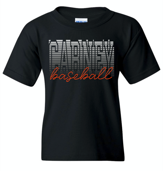 Carney Baseball
